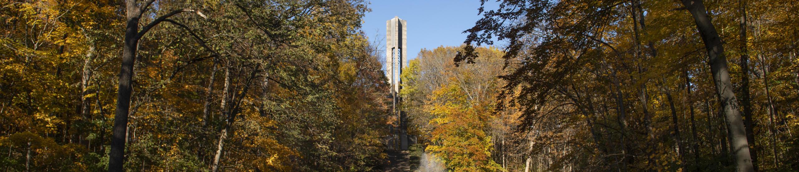树木在秋天的颜色与背景的carillon